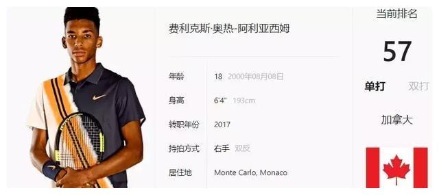 边翼卫位置