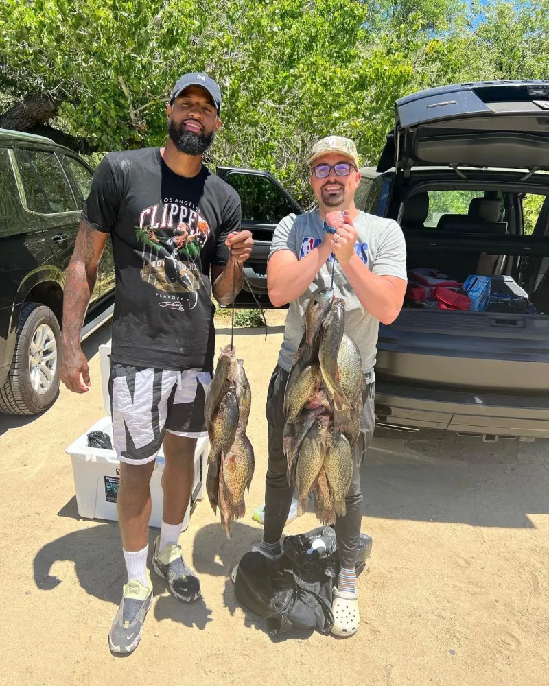 展示了无与 展示了无与