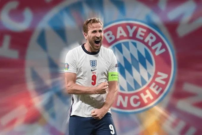 既是个人情 既是个人情